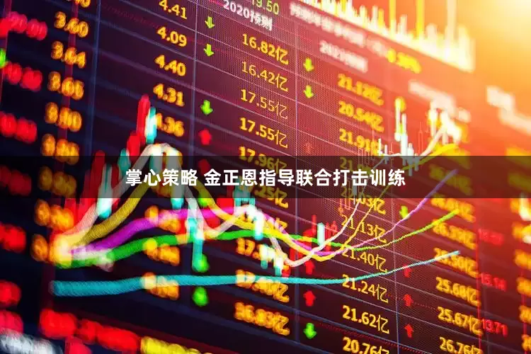 掌心策略 金正恩指导联合打击训练
